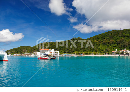 We arrived at Zamami Port. A statue of a humpback whale welcomed us. Kerama Islands, Shimajiri District, Okinawa Prefecture - June 27, 2025 130911641