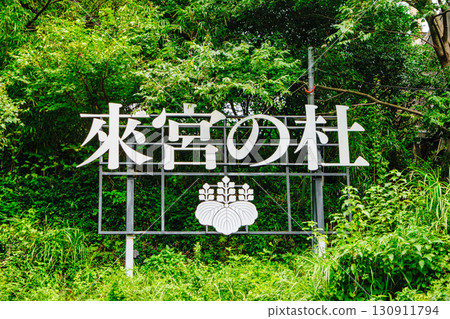 熱海市、來宮神社 130911794