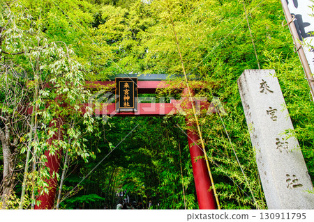 熱海市來宮神社的鳥居 熱海市來宮神社的鳥居 130911795