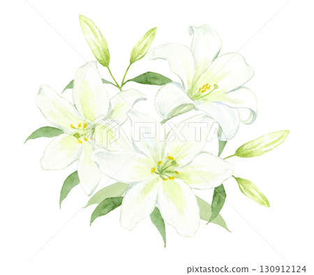 一束白色的百合花水彩畫 一束白色的百合花水彩畫 130912124