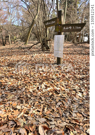 丹澤川越石山 - 土山峠路線登山步道 130912141