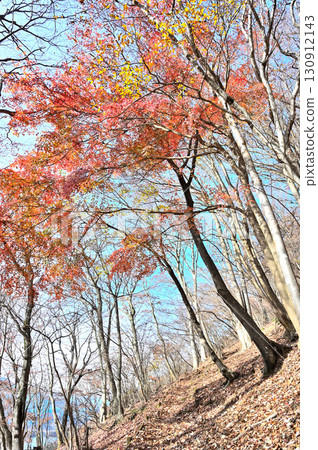 丹澤的川鄉石山、日本楓樹、秋葉小徑 130912143