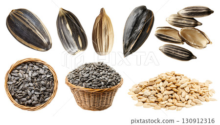 Sunflower seeds seed nut fruit kernel, many angles view side top pile stack, basket, with husk shell unshelled, raw isolated on transparent cutout, PNG. Mockup template 130912316