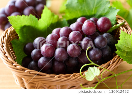 Kyoho grapes in a basket 130912432