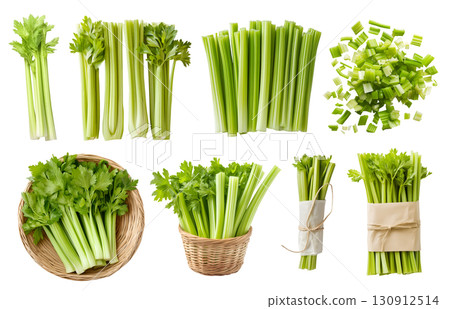 Celery celeries vegetable plant stem stalk, many angles view side top front basket slice chop bundle isolated on transparent cutout, PNG file. Mockup template 130912514