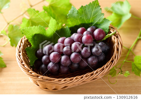 Kyoho grapes in a basket Kyoho grapes in a basket 130912616