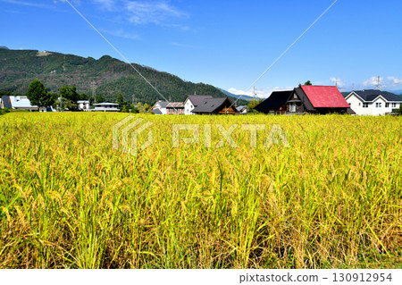 Scenery of Hokujo Castle in Hakuba Village, Nagano Prefecture (Hakuba Village, Nagano Prefecture) [September 2025] 130912954