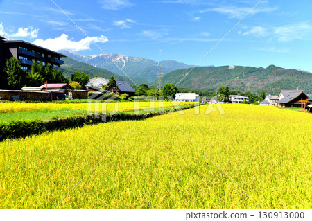Scenery of Hokujo Castle in Hakuba Village, Nagano Prefecture (Hakuba Village, Nagano Prefecture) [September 2025] 130913000