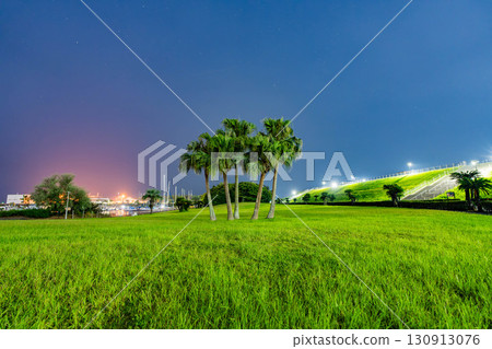 Miyazaki Marina and Hill of Life at night 130913076