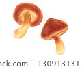 香菇插圖向量 130913131