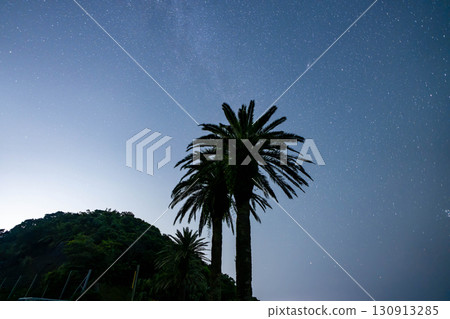 棕櫚樹和滿天星斗的天空 棕櫚樹和滿天星斗的天空 130913285