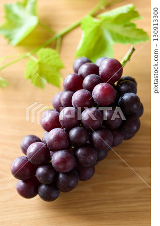 Kyoho grapes from Chiba Prefecture Kyoho grapes from Chiba Prefecture 130913300