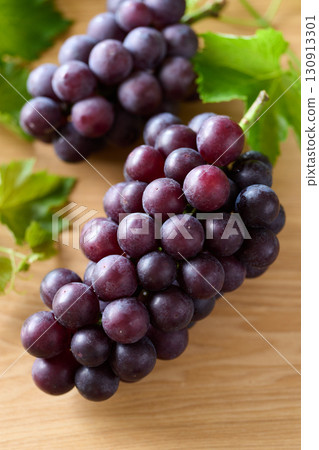 Kyoho grapes from Chiba Prefecture 130913301
