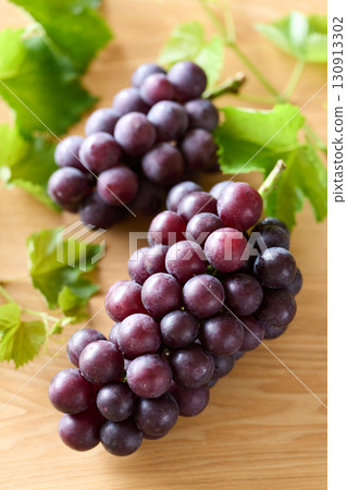 Kyoho grapes from Chiba Prefecture 130913302