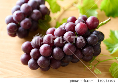 千葉縣巨峰葡萄 千葉縣巨峰葡萄 130913305