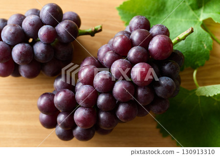千葉縣巨峰葡萄 130913310