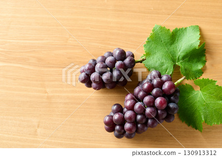 千葉縣巨峰葡萄 130913312