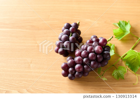 Kyoho grapes from Chiba Prefecture Kyoho grapes from Chiba Prefecture 130913314