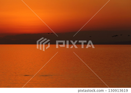 荒尾市有明海岸元旦黃昏 130913619
