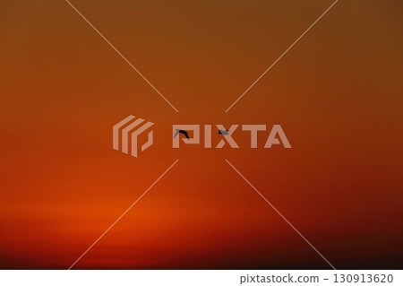 荒尾市有明海岸元旦黃昏 130913620