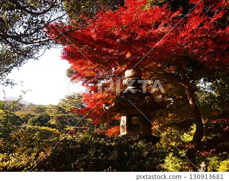 Scenery of Rikugien Garden in late autumn 130913681