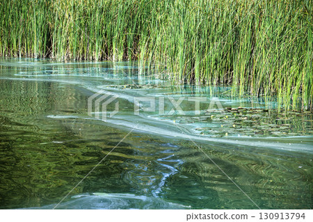 Polluted wetland shows the devastating impact of wastewater and environmental harm in nature. Polluted wetland shows the devastating impact of wastewater and environmental harm in nature. 130913794