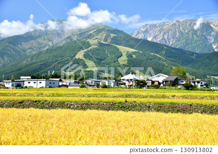 Hakuba Village scenery / Overlooking the Hakuba Happo-one Ski Resort (Hakuba Village, Nagano Prefecture) [September 2025] 130913802