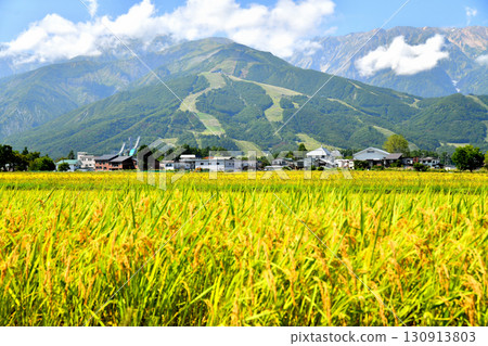 Hakuba Village scenery / Overlooking the Hakuba Happo-one Ski Resort (Hakuba Village, Nagano Prefecture) [September 2025] 130913803