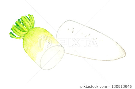 蘿蔔切成兩半蔬菜手繪水彩插畫素材 130913946