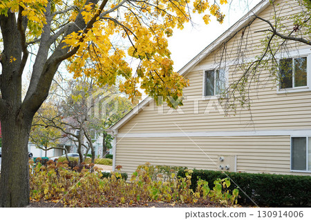 A quiet suburban scene with golden autumn leaves hanging over a beige-sided house surrounded by dry plants A quiet suburban scene with golden autumn leaves hanging over a beige-sided house surrounded by dry plants 130914006