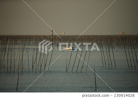 大牟田市有明海紫菜場， 130914026