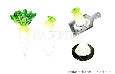一套蘿蔔和蘿蔔泥。手繪水彩畫，描繪蔬菜和調味品。 130914070