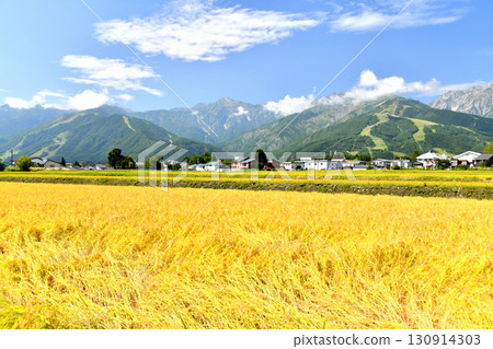 Hakuba Village scenery / View of Mt. Goryu and Hakuba Happo-one Ski Resort (Hakuba Village, Nagano Prefecture) [September 2025] 130914303