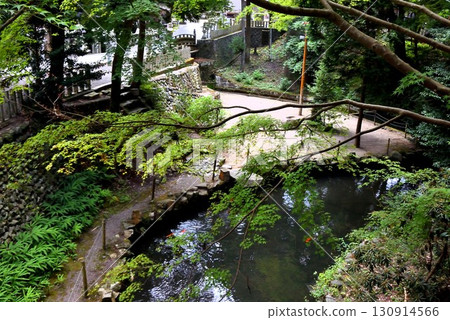 Overlooking the river that runs through the shrine grounds 130914566