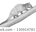 Palm civet_pencil drawing 130914781