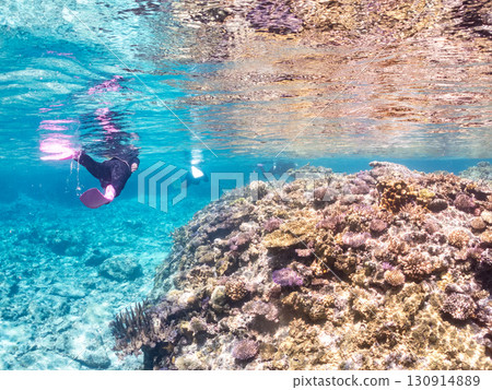 A school of blue-spotted damselfish, blue-spotted damselfish, and other fish. A huge coral reef and a school of tropical fish. Kabi Island, Okinawa Prefecture 130914889