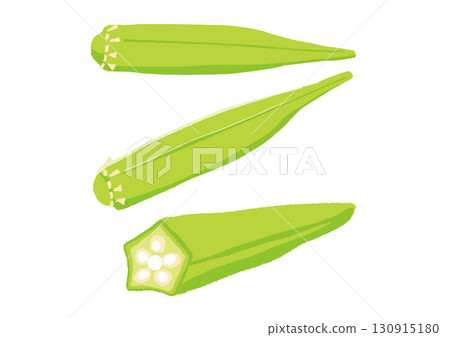 秋葵插圖向量 130915180