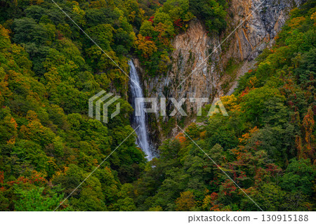 Kanman Falls in the autumn foliage season in Shiga Kogen (Nagano Prefecture) 130915188