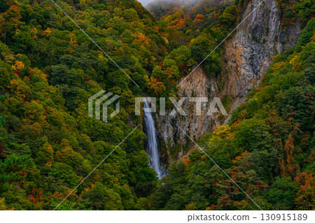 Kanman Falls in the autumn foliage season in Shiga Kogen (Nagano Prefecture) Kanman Falls in the autumn foliage season in Shiga Kogen (Nagano Prefecture) 130915189