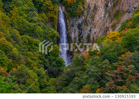 志賀高原（長野縣）紅葉季節的寬滿瀑布 130915193