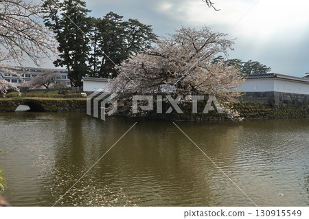 Odawara Castle and surrounding area during cherry blossom season 130915549