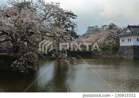 Odawara Castle and surrounding area during cherry blossom season 130915552