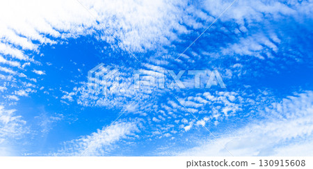 A simple landscape of autumn blue sky and scale clouds A simple landscape of autumn blue sky and scale clouds 130915608