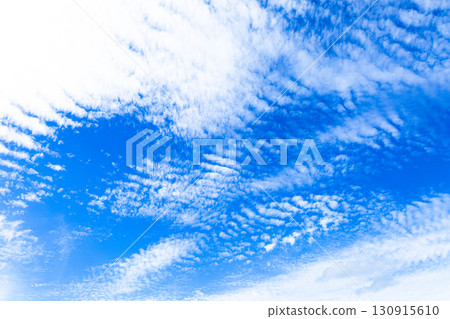A simple landscape of autumn blue sky and scale clouds A simple landscape of autumn blue sky and scale clouds 130915610