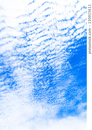 A simple landscape of autumn blue sky and scale clouds A simple landscape of autumn blue sky and scale clouds 130915611