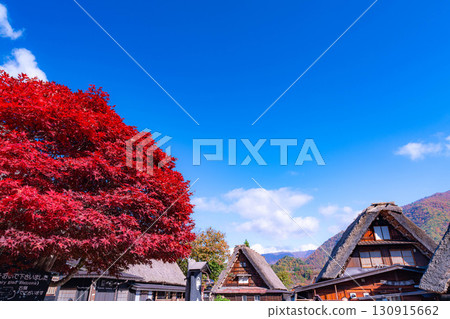 [World Heritage Site] Shirakawa-go in full autumn color [Gifu Prefecture] 130915662
