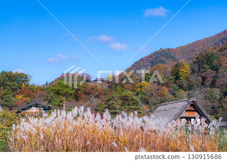 [World Heritage Site] Shirakawa-go in full autumn color [Gifu Prefecture] 130915686