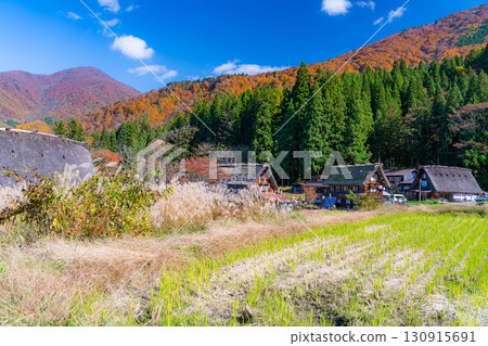 [World Heritage Site] Shirakawa-go in full autumn color [Gifu Prefecture] 130915691