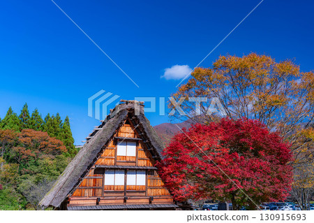 [World Heritage Site] Shirakawa-go in full autumn color [Gifu Prefecture] 130915693