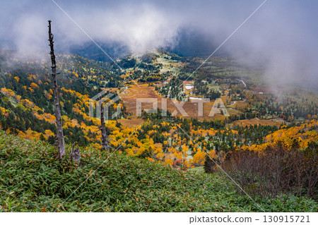 (群馬縣)從日本國道最高點澀峠眺望,秋葉飄香的吉平沼澤 (群馬縣)從日本國道最高點澀峠眺望,秋葉飄香的吉平沼澤 130915721